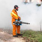 Pest Control Services in Bahrain