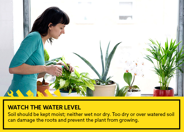 Watch the water level